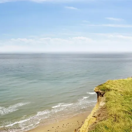 Dyri - 75m From The Sea In Nw Jutland By Interhome Holiday home *
